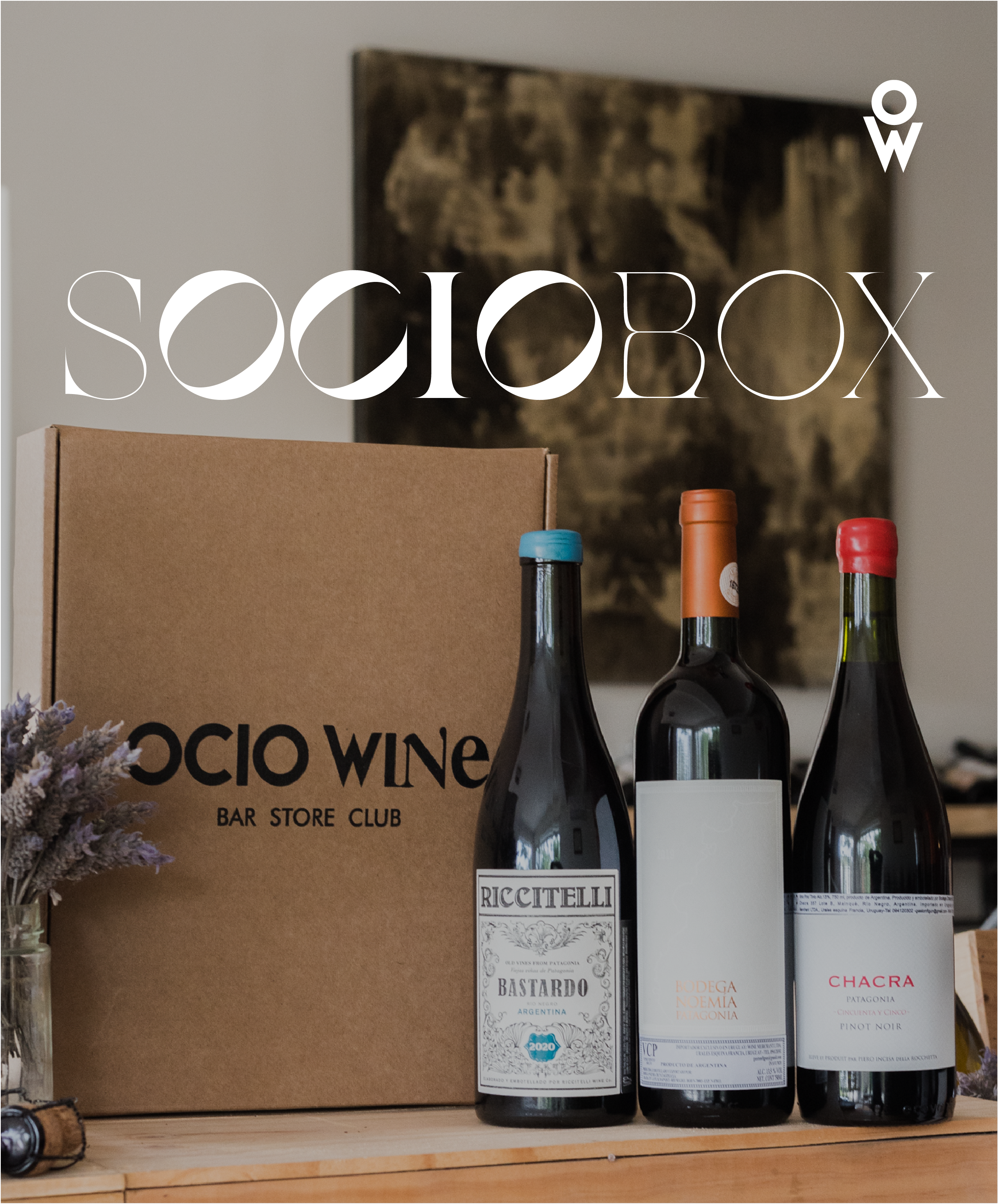 SocioBox